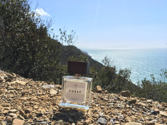 The Perfect Summer Cologne