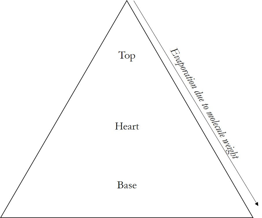 Top heart best sale base notes