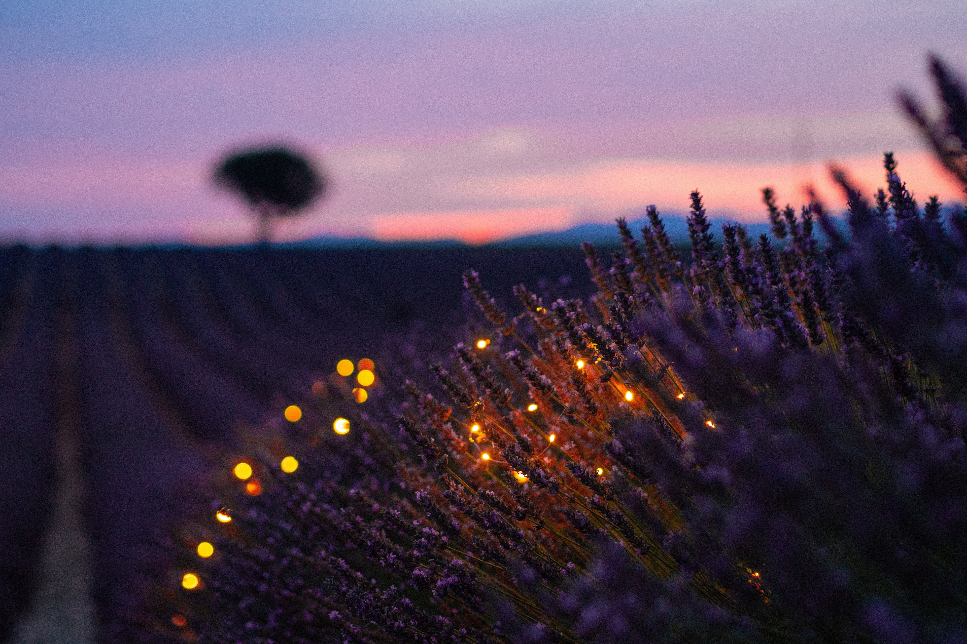 Natural Fragrance vs Synthetic Ingredients