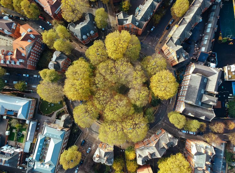 Photo of London