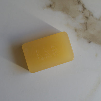 Terra Firma | Invigorating Body Soap