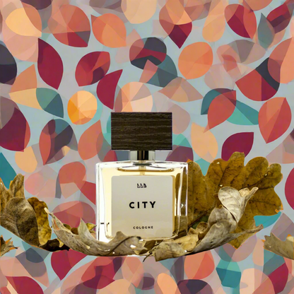 City | Refined + Aromatic | Fougere Men's Scent